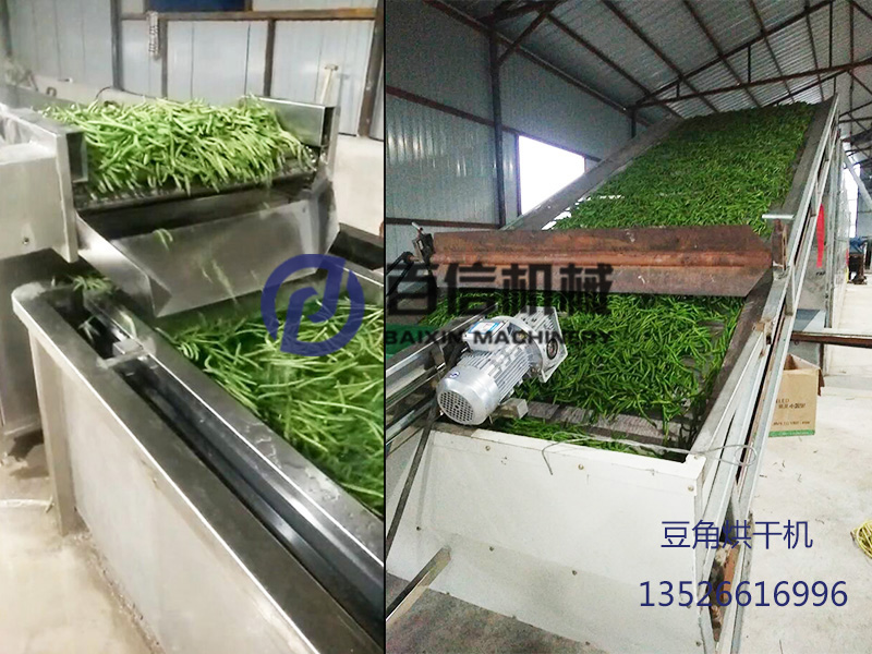 黑龙江脱水蔬菜豆角烘干生产线现场