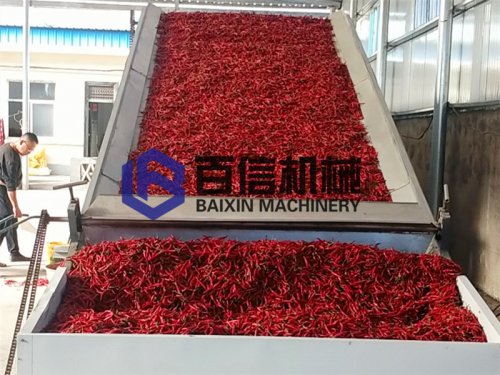 网带式辣椒烘干机有哪些差别?