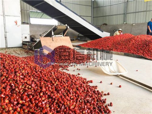 选择辣椒烘干机要从哪些方面考虑?