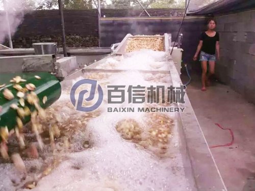 如何将新鲜的百合加工成百合干片?百合加工工艺