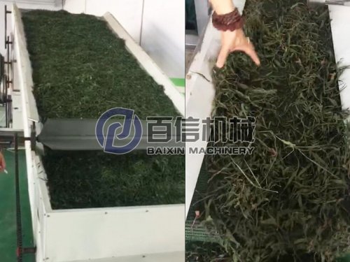 大型网带式烘干机-构叶饲料烘干的不二选择!