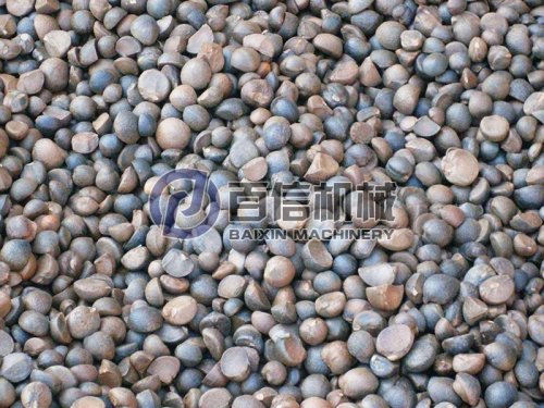为什么使用热风干燥油茶籽?油茶籽加工工艺