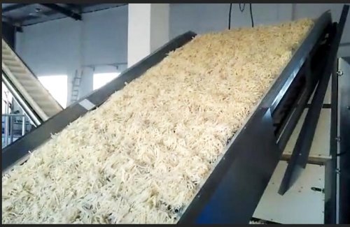 食品烘干用什么设备合适?