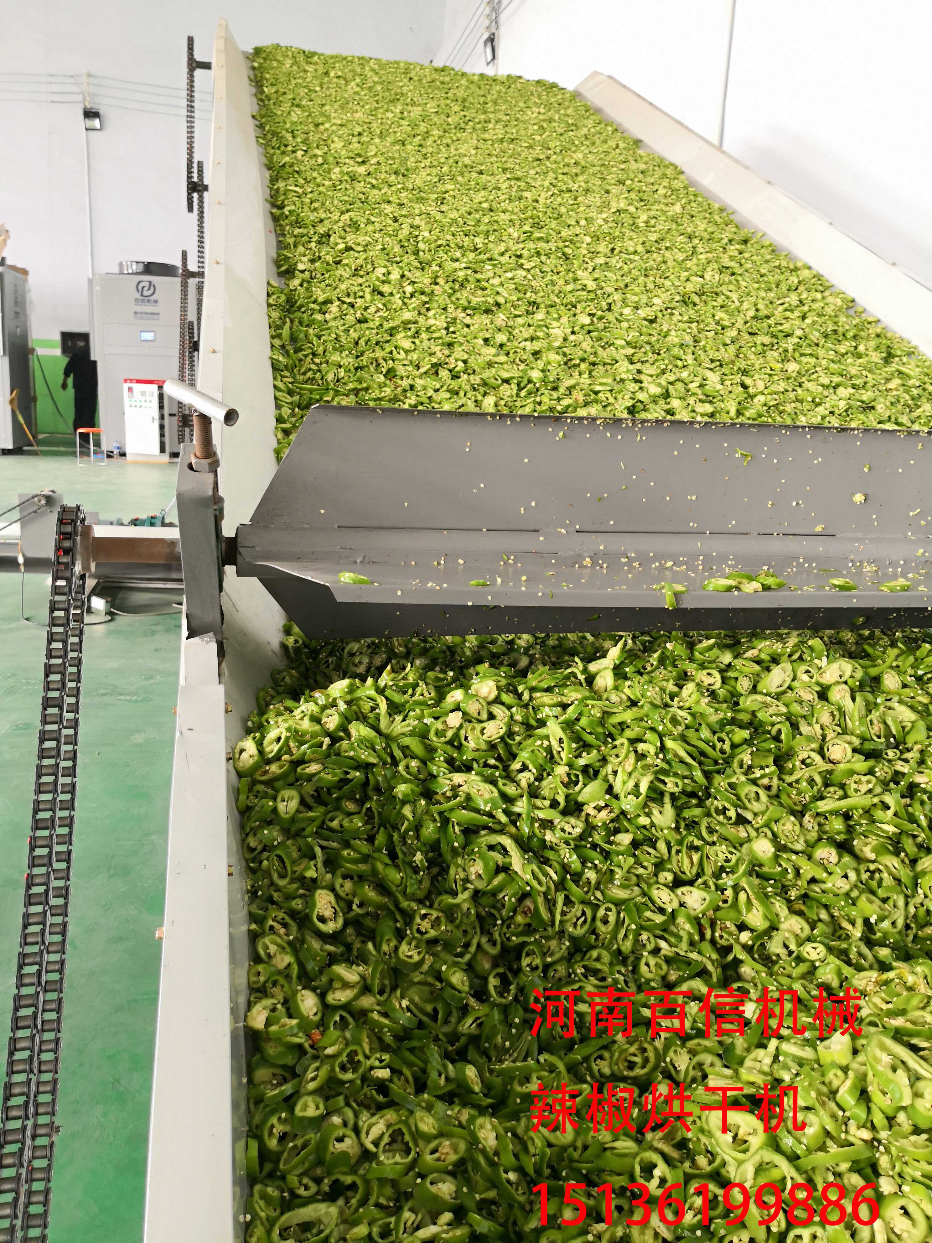 辣椒烘干设备产量大小被这些因素左右 辣椒烘干设备产量大小被这些因素左右