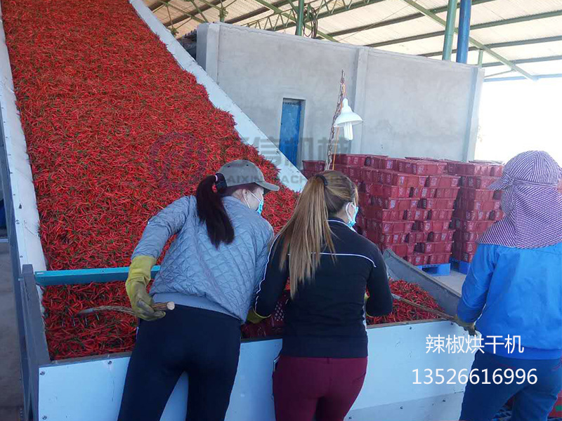 辣椒烘干机温度