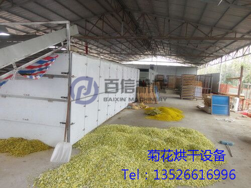 菊花烘干机