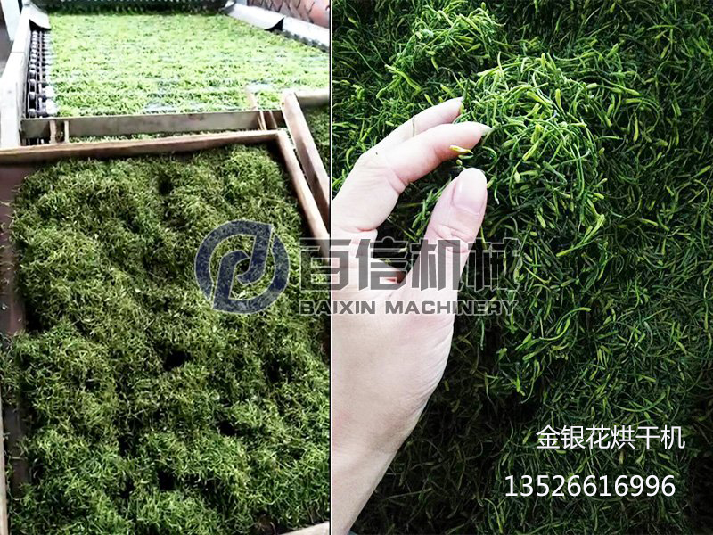 金银花烘干机