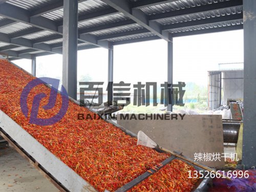 影响辣椒烘干品质的因素有哪些?