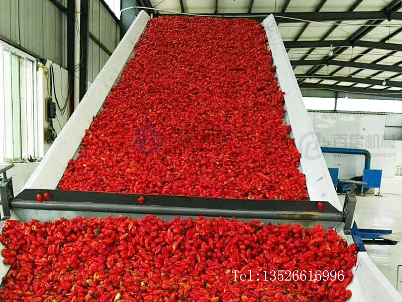 工业辣椒烘干机