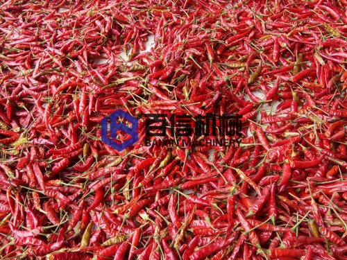网带式辣椒烘干机效果如何?