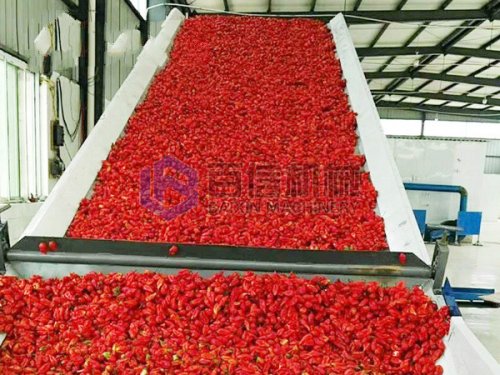 大型辣椒烘干机价格多少?日产量是多少?