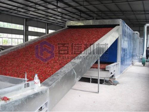 不同型号辣椒烘干设备报价都是多少?