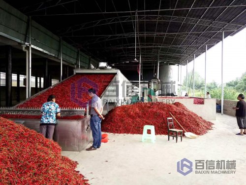 怎样选择辣椒烘干机?