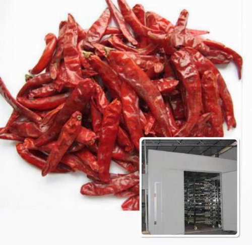 怎样正确烘干辣椒?辣椒烘干机正在书写辣椒干燥的奇迹