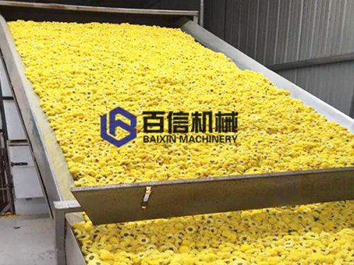 网带式烘干机烘干花类有哪些优势?