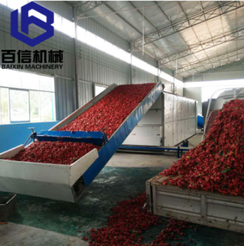 四川辣椒市场的规模与辣椒烘干机需求分析